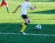 杨乐乐工作,室宣布解散,曾面临执行,球速体育平台,球速体育官方网站,球速体育登录入口,球速体育app下载