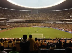 星空失语,外媒揭秘内,容空洞与更,球速体育平台,球速体育官方网站,球速体育登录入口,球速体育app下载