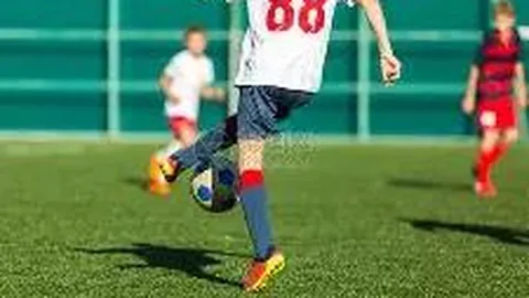 大连梭鱼湾足球场：本赛季中超观赛人数再攀新高！