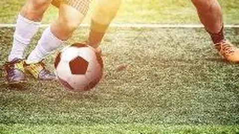 任翔宇因伤缺席2025年世界羽联总决赛报道——大众新闻·大众日报