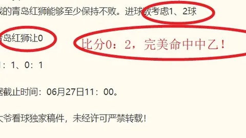 球速体育，球速体育官网， 083621 3